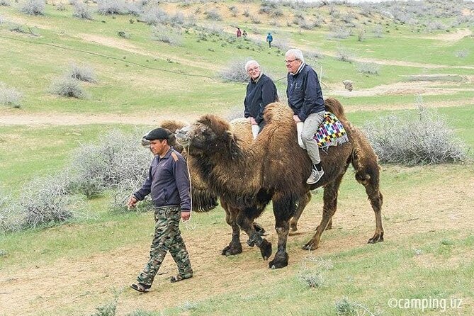 2 Days of Tour in Yurt Camp and Aydarkul - A night in the yurt camp
