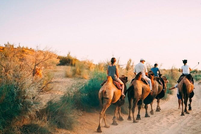 2 Days Private Safari Tour from Bukhara - Key points to know before booking