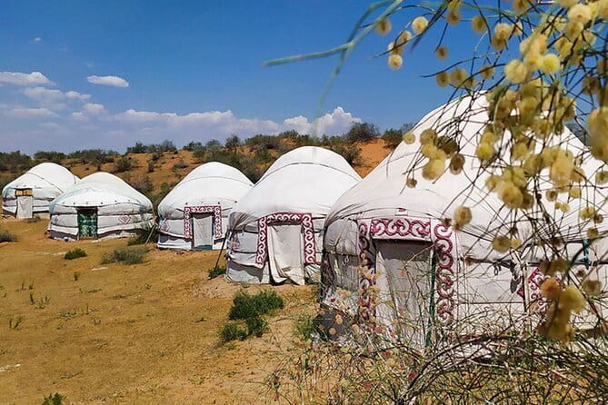 2 Days Private Safari Tour from Bukhara - Reaching the yurt camp near Aydarkul Lake