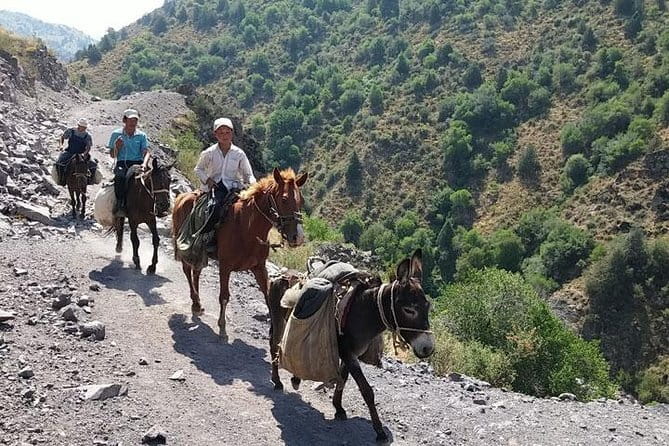 3-Day Chimgan Trekking Tour - From Tashkent to the Melovoy Pass