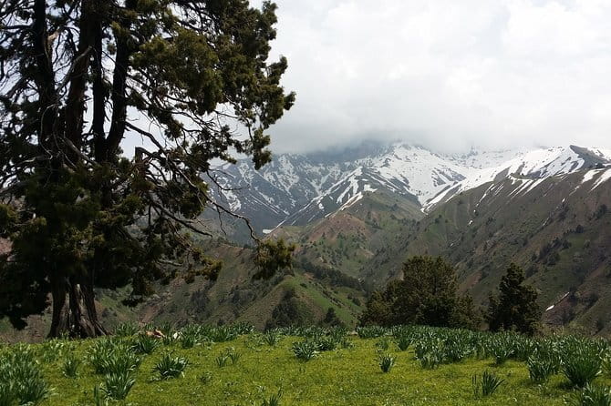 3-Day Chimgan Trekking Tour - What the animal porters change for you