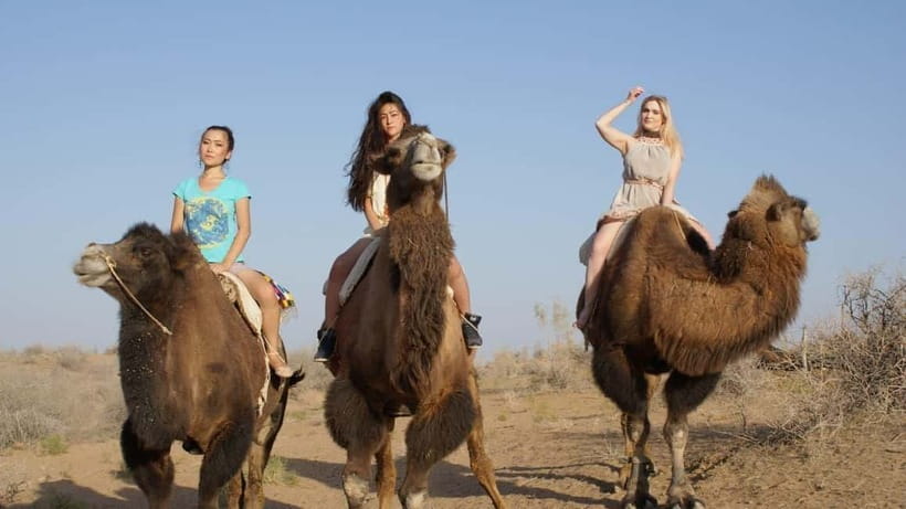 Adventure to Desert Kyzyl Kum and Yurt Camp - A desert night between Samarkand and Bukhara