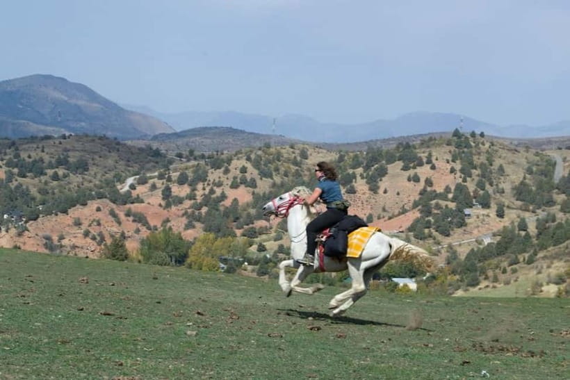 Amirsoy, Chimgan & Charvak Full-Day Adventure - The guide can shape the entire day