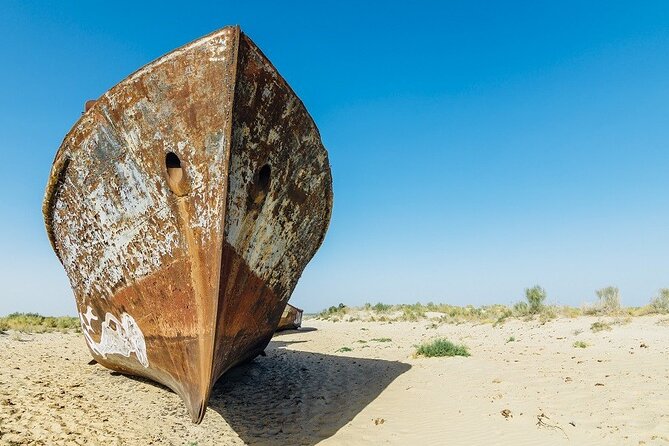 Aral Sea One Day Tour from Tashkent - Key points to know before you book