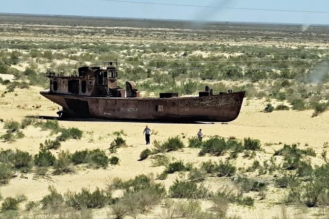 Aral Sea One Day Tour from Tashkent - Food, private transport, and the value of the package