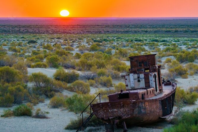 Aral Sea One Day Tour from Tashkent - Flying from Tashkent to Nukus