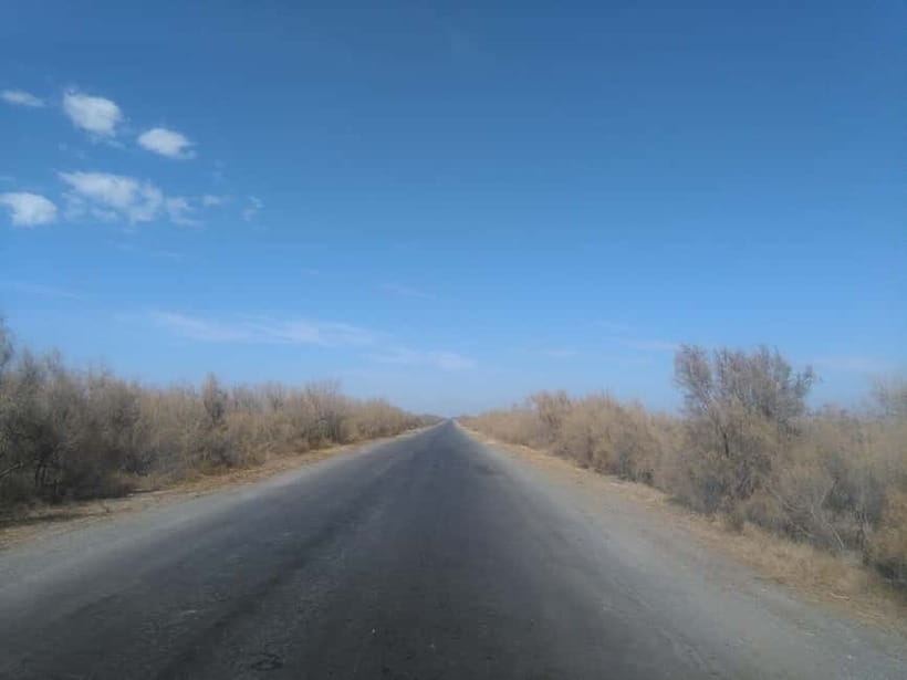 Aral Sea One Day Trip from Nukus. - The food, the vehicle, and the pace