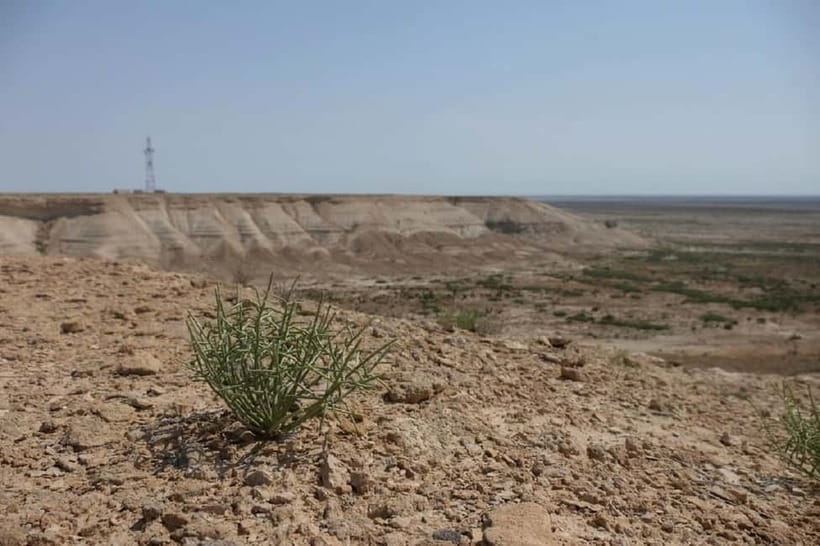Aral Sea Tour from Nukus 1 night / 2 days - What the $590 price really covers