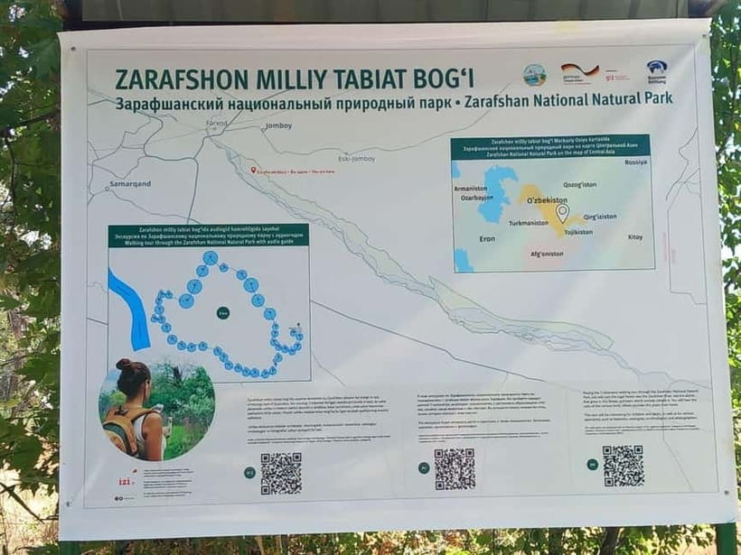 Bird Watching Tours in Samarkand - Key points to know before booking