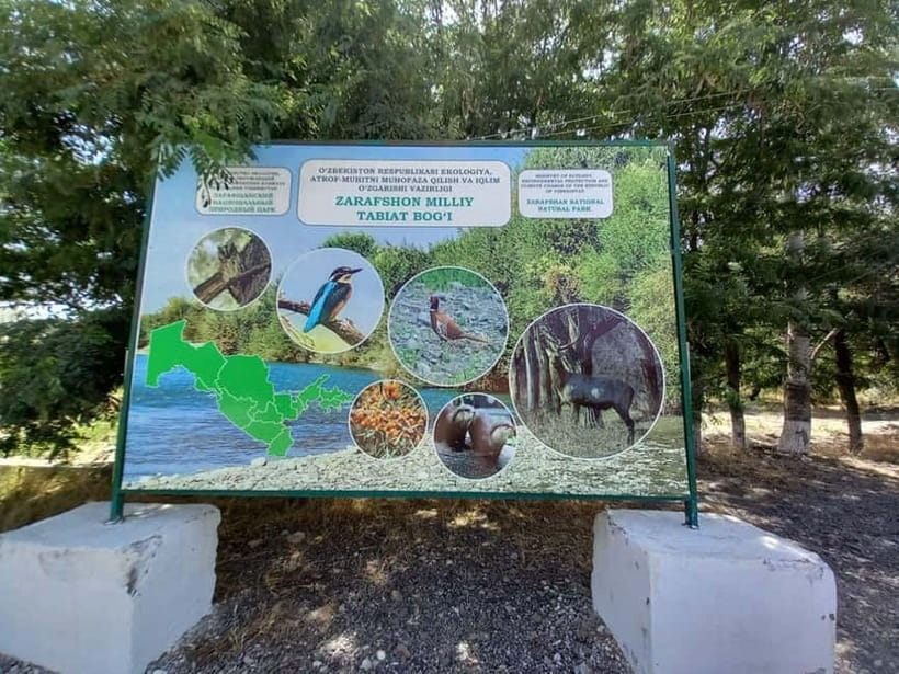 Bird Watching Tours in Samarkand - Aqdarya near Ishtixan, where water brings common birds