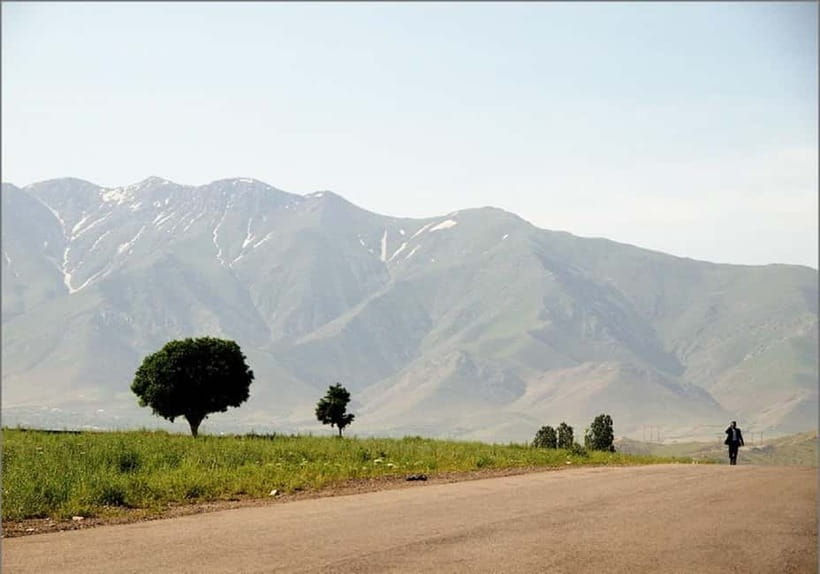 Bukhara-Shakhrisabz-Samarkand One Day Trip - Key points to know before booking