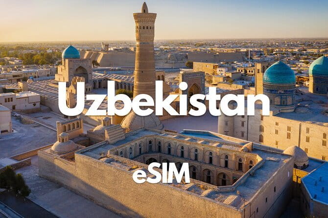Bukhara: Walking Tour with a Small Group - Seeing the Ark and the Bolo-Hauz Mosque