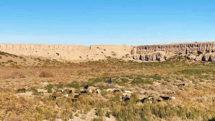 Daytrip from Khiva to Five Ancient Fortresses - Food, entry fees, and the costs beyond $115