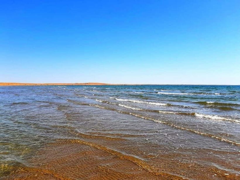 Desert Adventure from Samarkand: Yurt Camp & Aydarkul Escape - Key points at a glance