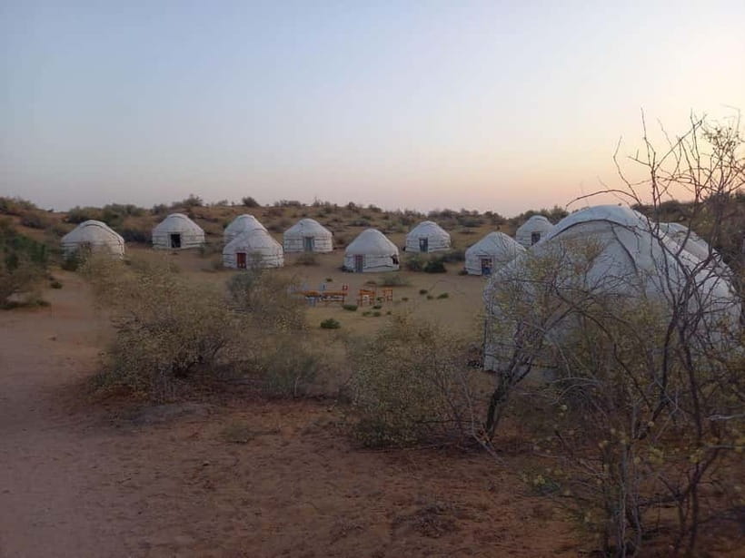 Desert Adventure from Samarkand: Yurt Camp & Aydarkul Escape - Breakfast starts a practical return to Samarkand or Bukhara