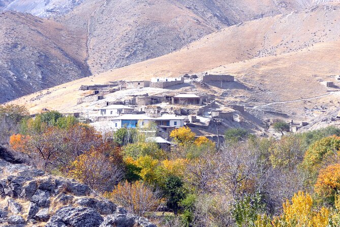 Desert yurt camp and Mountain tour - 3 days - Key points to know before booking