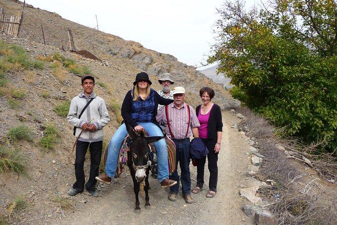 Desert yurt camp and Mountain tour - 3 days - What the $325 price really covers
