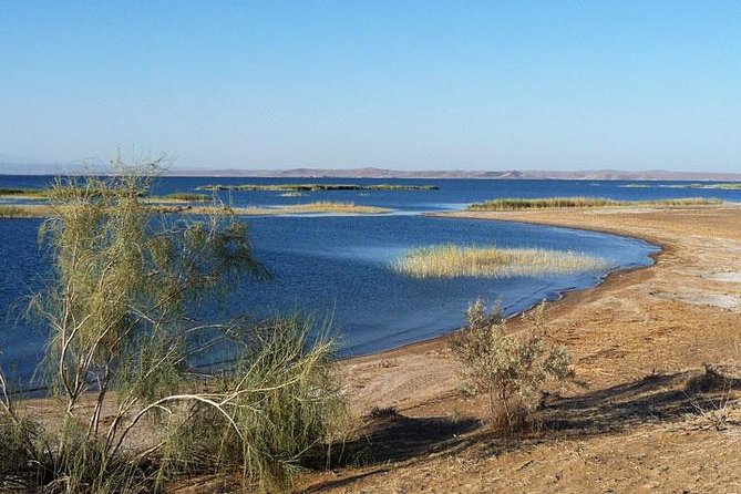 Desert Yurt Camp tour - 2 days (shared) - Nurata’s fortress, spring, and sardoba