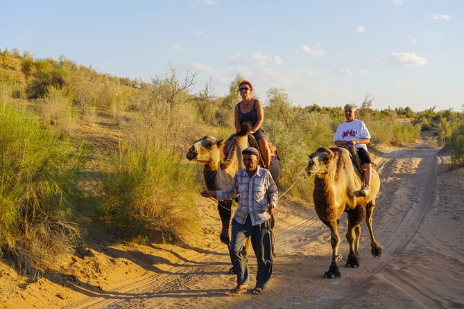 Desert Yurt Camp tour - 2 days (shared) - Camel riding near the camp