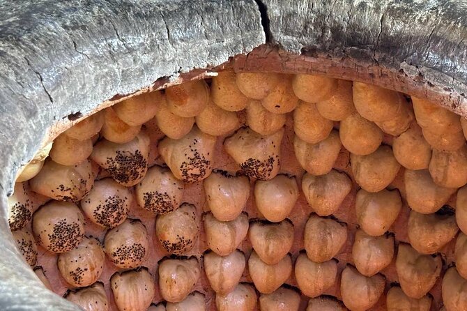 Food tour in Tashkent - Chorsu Bazaar, where ingredients tell the story