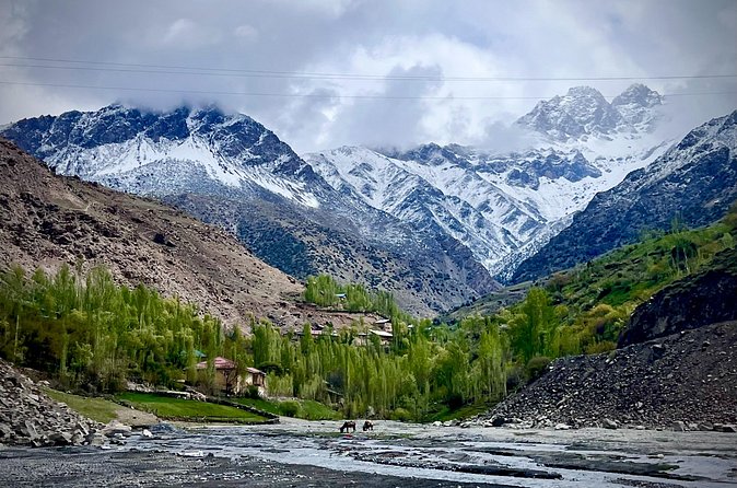 From Samarkand: Day Trip to Tajikistan's Seven Lakes - Vehicle, group size, and guide quality
