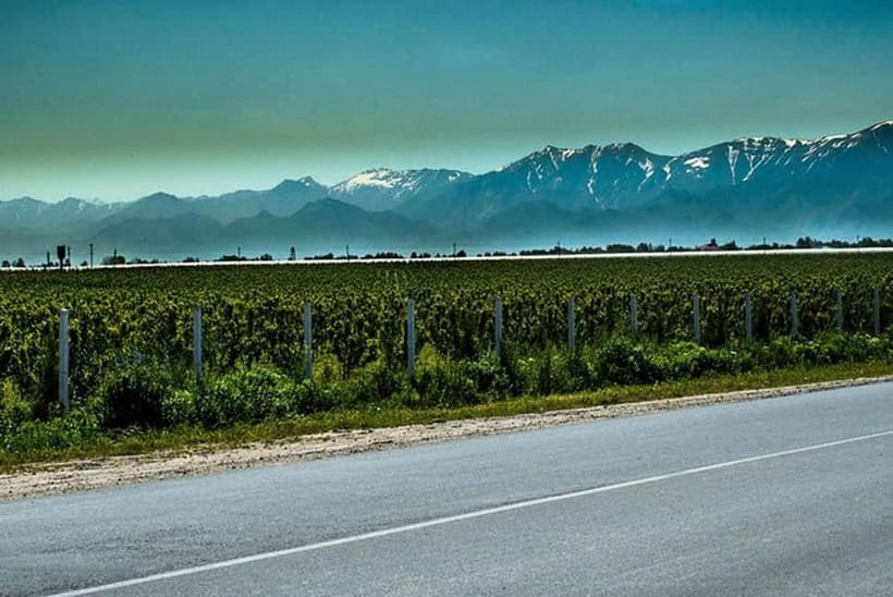 From Samarkand: Shahrisabz Day Trip & Mountain Pass Tour - Why the road to Shahrisabz matters
