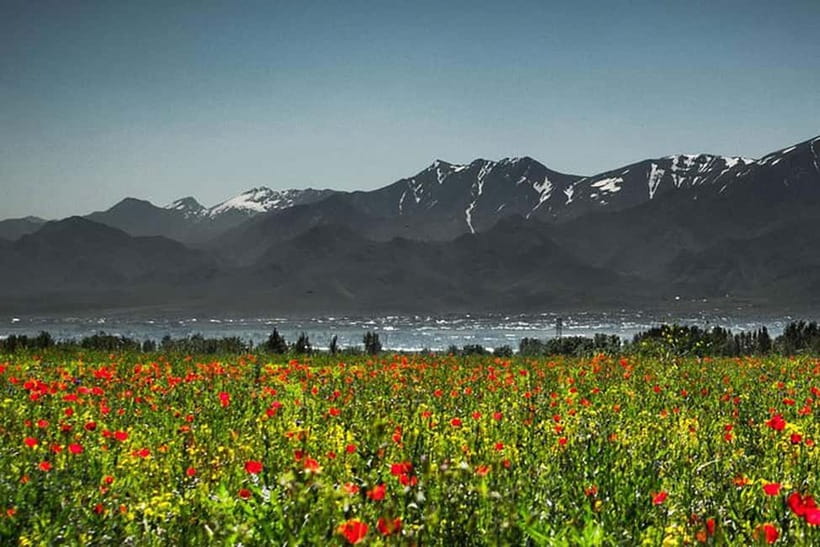 From Samarkand: Shahrisabz Day Trip & Mountain Pass Tour - Guided group or private driver?