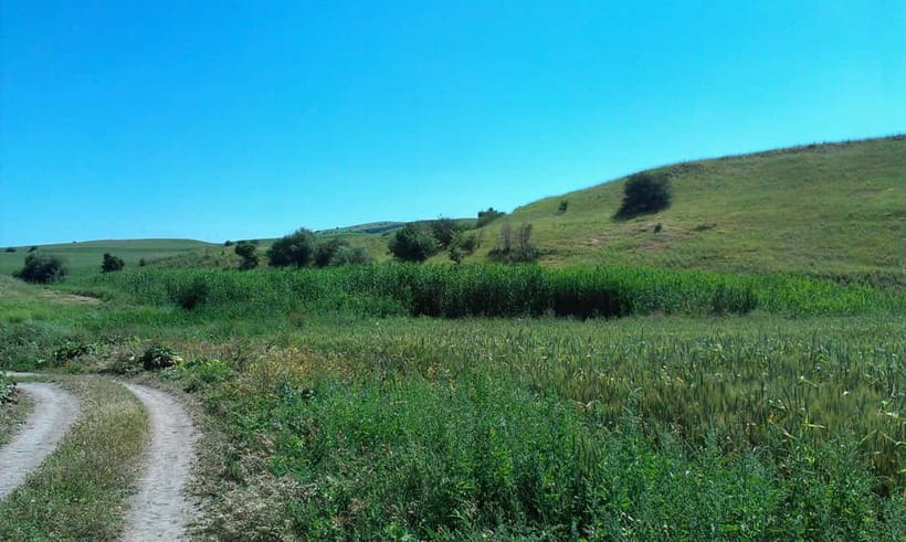 From Tashkent: Chimgan Valley Hiking Day Trip - Key points to know before you book