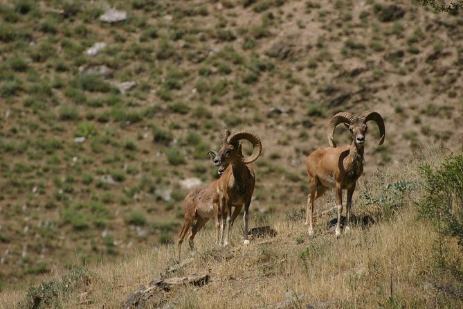 Hiking tour to Hayat, Uhum and Asraf villages – 4 days - Group size, transfers, and the value of the one-way route