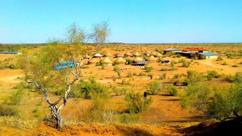 Kyzylkum Desert tour from Samarkand (1Night 2 Days) - The Long Road to the Kyzylkum Yurt Camp