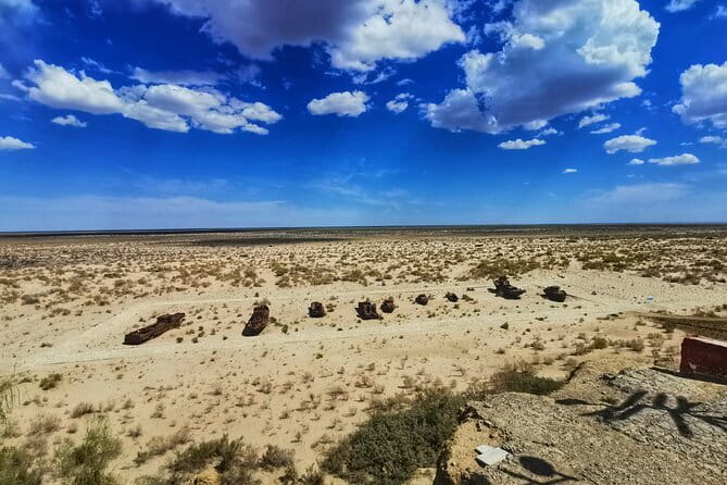 Private Daytrip to Muynak and Nukus - What the private transport adds to a 14-hour day