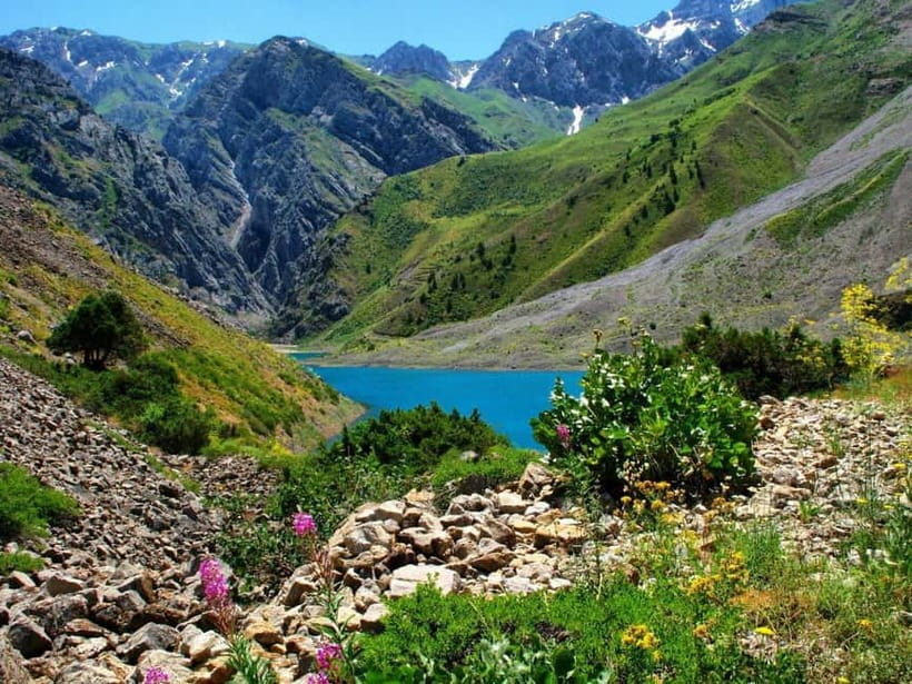 Samarkand: Shahrisabz Day Trip with Optional Local Guide - Who will get the most from this day trip