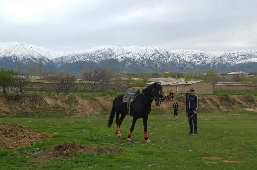 Samarkand: Uloq-Kopkari (Buzkashi) Game Day Tour - Why Uloq-Kopkari is worth your day