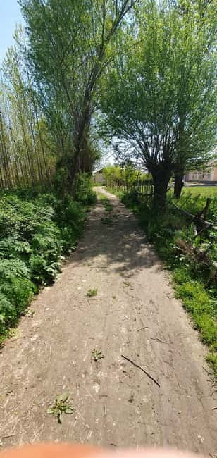 Samarkand: Village Tour with Plov Cooking Class & Home Visit - Key points at a glance