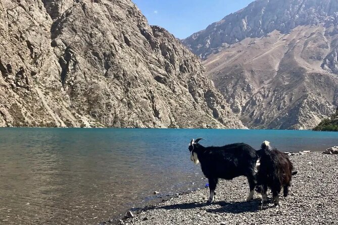 Seven Lakes Panjakent: One-Day Adventure from Samarkand - The $100 price and what it covers