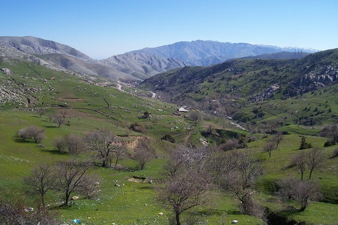 Shahrisabz Private Excursion From Samarkand. - How much time do you really spend in town?