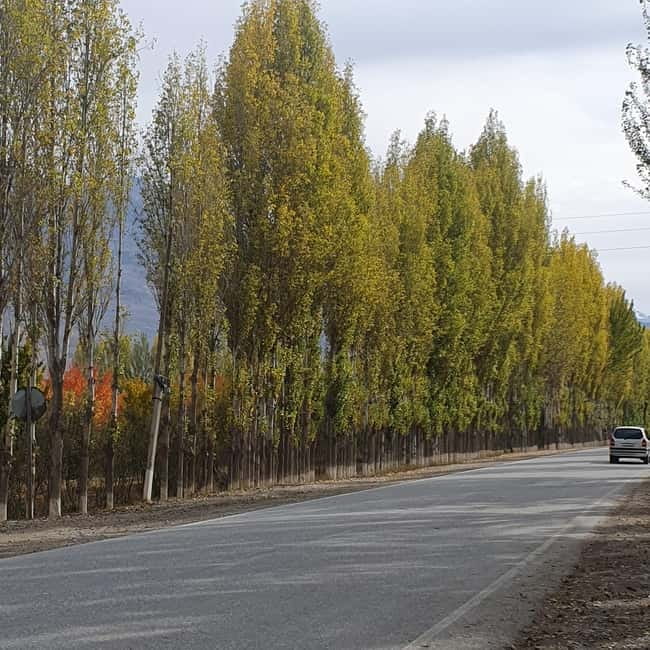 Small group: Tajikistan Seven Lakes Day trip from Samarkand - Lunch, village life, and the human side of the route
