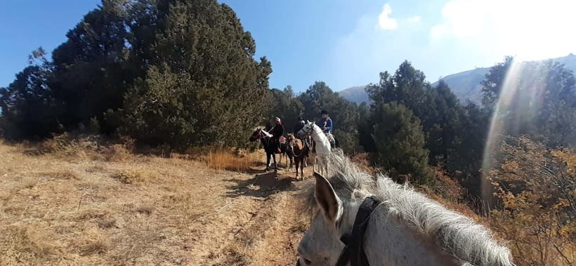 Tashkent: 3-Day Horseback Riding Tour in Chimgan Mountains - Key points at a glance