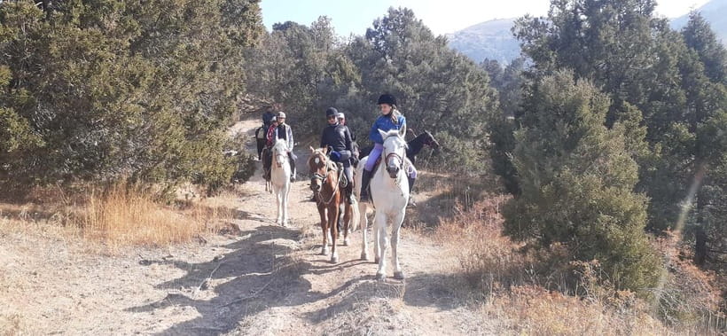 Tashkent: 3-Day Horseback Riding Tour in Chimgan Mountains - Day two: rivers, a giant tree, and Chet Kumbel Pass