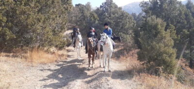 Tashkent: 3-Day Horseback Riding Tour in Chimgan Mountains