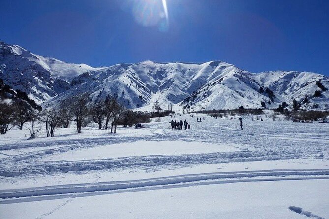Tashkent Mountain Tour Amirsoy with Transport - What the $110 price really covers