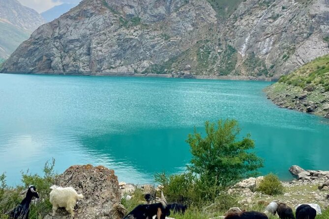 Tashkent Tour at Amirsoy, Chimgan Mountains and Charvak lake - Key Points to Know Before You Go