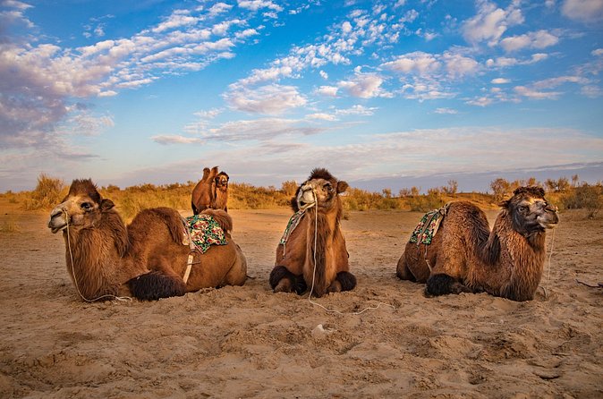 Transfer from Khiva to Bukhara by Fortresses - Eight hours on the road: how to judge the pace