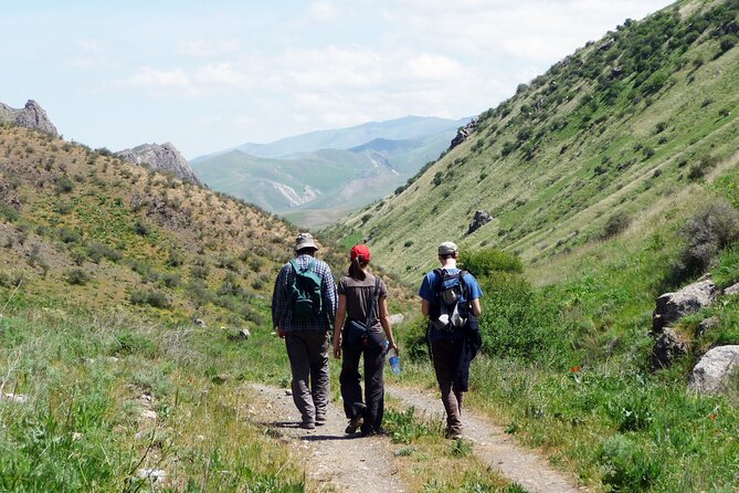 Yurt stay and Hiking in the Nurata Mountains tour - 2 days - Settling into 11 yurts in the mountain setting